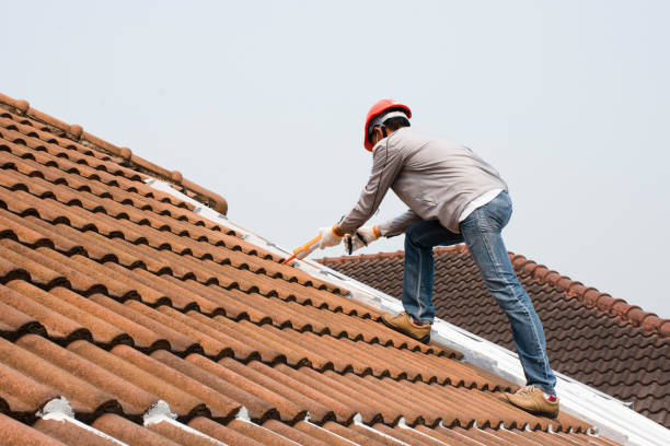 Best Skylight Installation and Repair  in Leesburg, VA